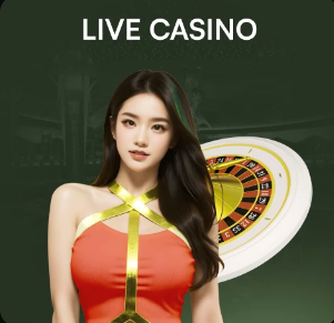 里斯·詹姆斯：举起世俱杯永生难忘，我们向世界展示最好的切尔西